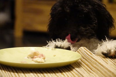 Close-up of person with bowl