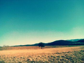 Scenic view of landscape against clear sky