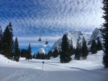 Scenic view of trees against sky during winter