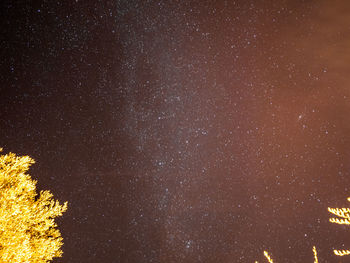 Star field against sky at night