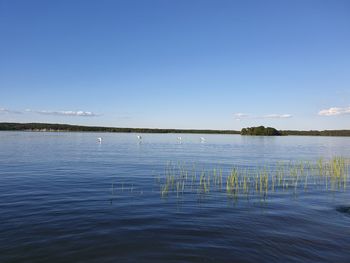 Scenic view of lake against blue sky