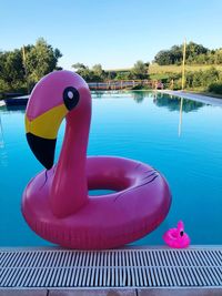 View of swimming pool and flamingos against sky