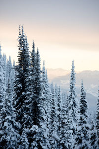 Last light paints the scenic winter landscape