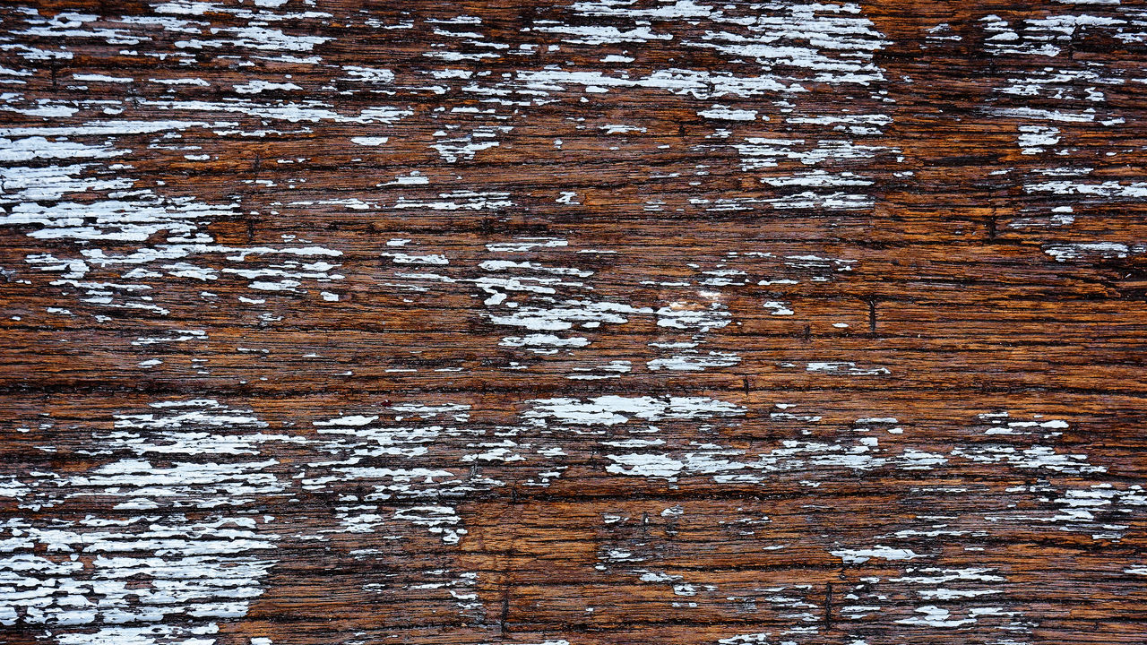 full frame, backgrounds, wood, pattern, reflection, no people, textured, day, wall, soil, close-up, brown, tree, water, outdoors, nature, abstract, floor, rough, weathered