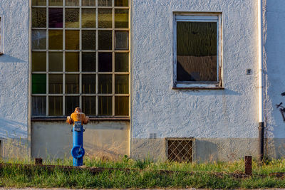 Rear view of man standing outside building