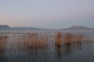 Scenic view of lake against sky