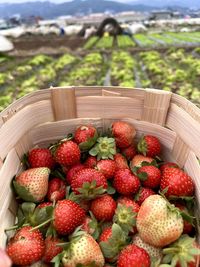 Close-up of strawberries