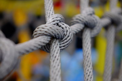 Close-up of rope tied