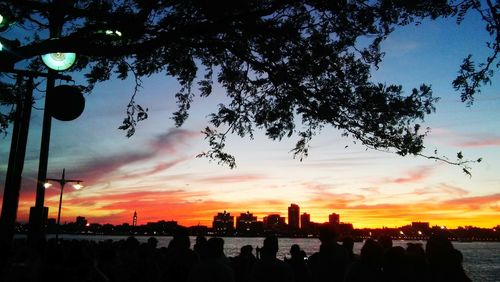 Silhouette of trees at sunset