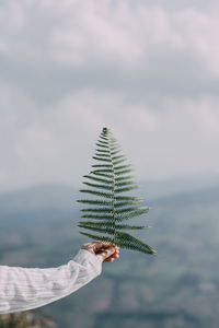 Cropped hand of woman holding leaf against sky