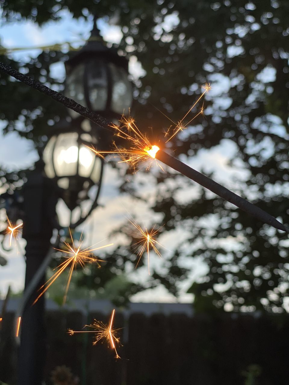 CLOSE-UP OF ILLUMINATED PLANTS AGAINST SKY WITH SUNLIGHT