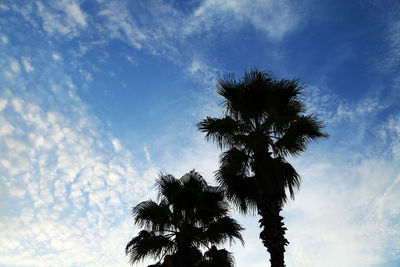 Low angle view of tree against sky