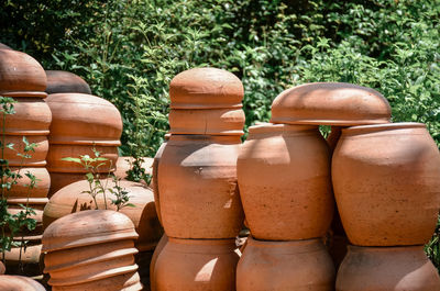 Close-up of stack of plant