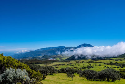 Scenic view of landscape against blue sky