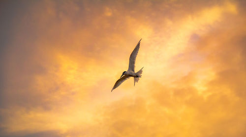 sky