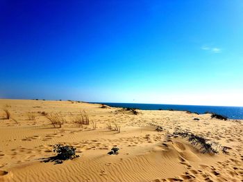 Scenic view of beach against clear blue sky