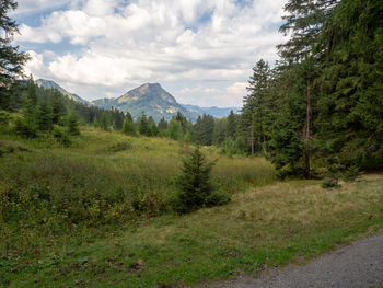 Scenic view of field against sky