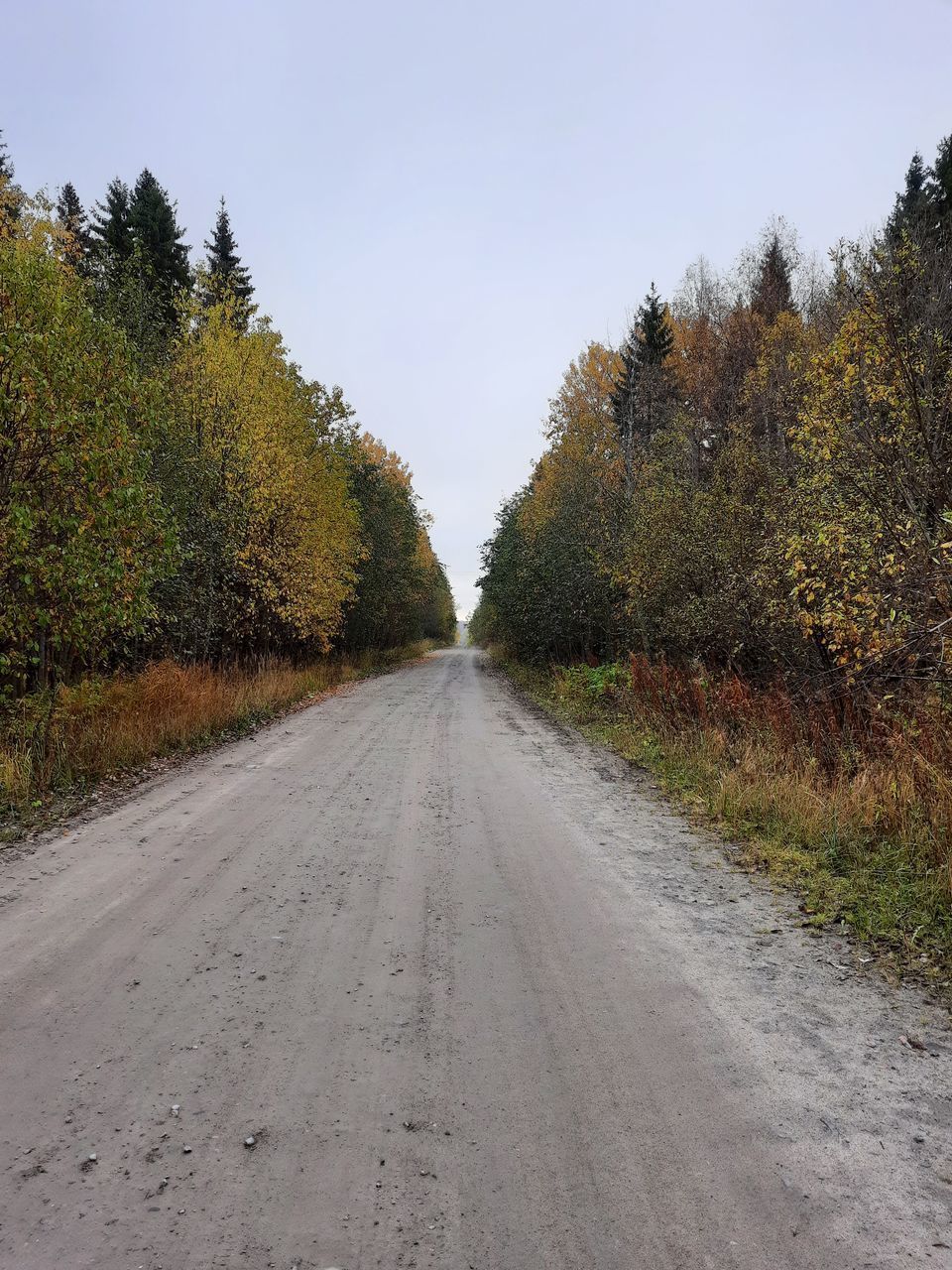 ROAD AMIDST TREES ON LANDSCAPE AGAINST SKY