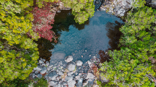 Aerial drone view of blue lake into the forest in paul da serra, madeira island