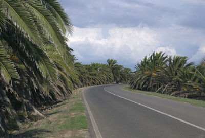 Road amidst trees against sky