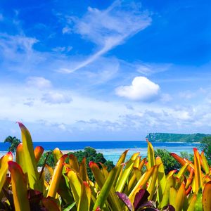 Scenic view of beach against blue sky