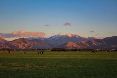 Scenic view of field and mountains against sky