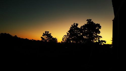 Silhouette trees against clear sky during sunset