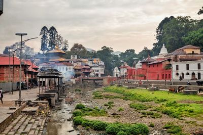 Houses and buildings in city against sky