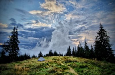 Panoramic view of forest against sky