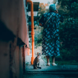 Rear view of women walking on street