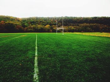 Trees on grassy field