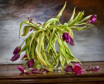 Close-up of pink flowering plant on table