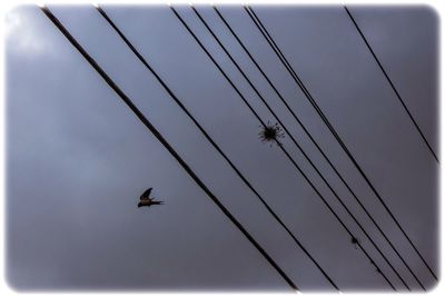 Low angle view of power lines