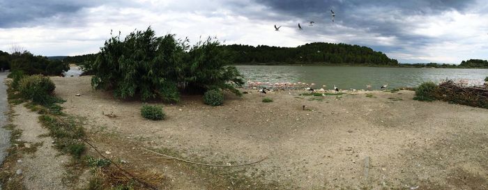 Scenic view of calm beach against cloudy sky