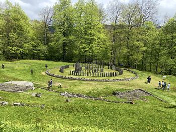 People on field by trees against sky
