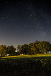 Scenic view of trees against clear sky at night