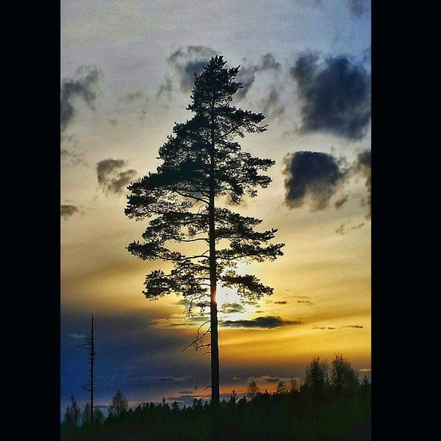 sky, tree, silhouette, sunset, cloud - sky, tranquility, transfer print, tranquil scene, beauty in nature, scenics, cloudy, nature, cloud, auto post production filter, dramatic sky, idyllic, landscape, low angle view, outdoors, weather