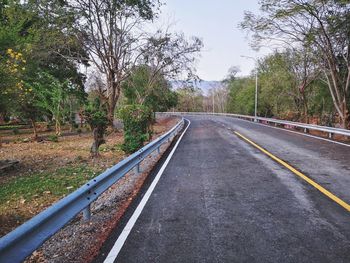 Surface level of empty road along trees