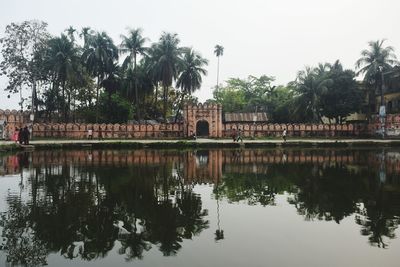 Reflection of palm trees in lake