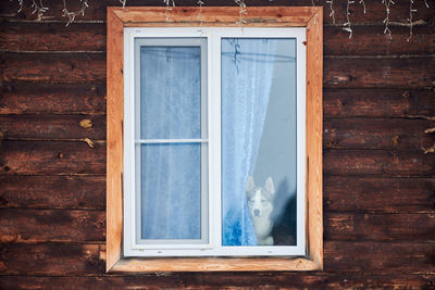 Closed window of building