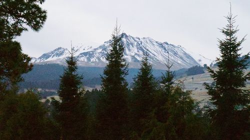 Scenic view of snow covered mountains