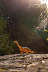 Dinosaur toy on rock in forest during sunny day