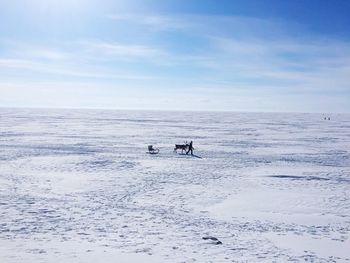 Side view of man with reindeer pulling sledge on snowy field against sky