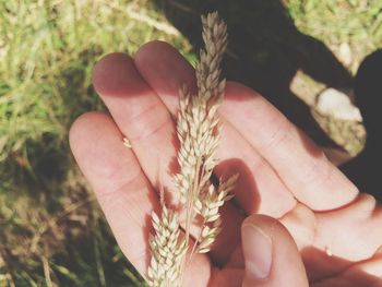 Close-up of hand holding leaf