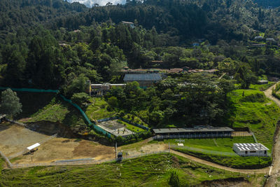 High angle view of trees on landscape