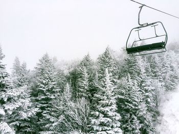 Trees against sky