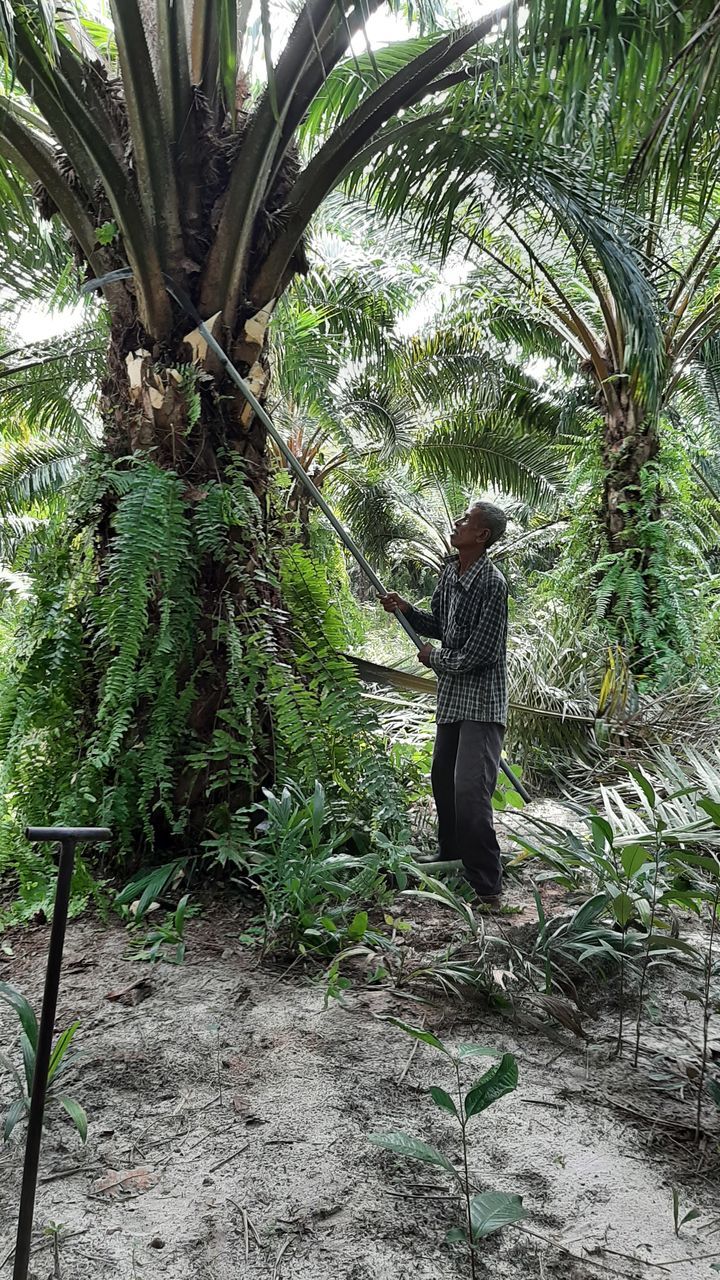 REAR VIEW OF MAN STANDING BY TREE