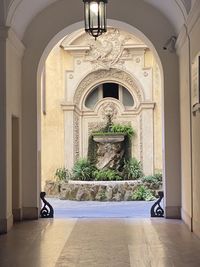 View of potted plant on door of building