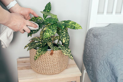 Cropped hand of woman holding potted plant