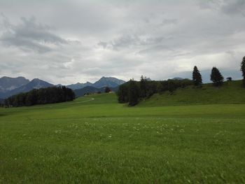 Scenic view of field against sky